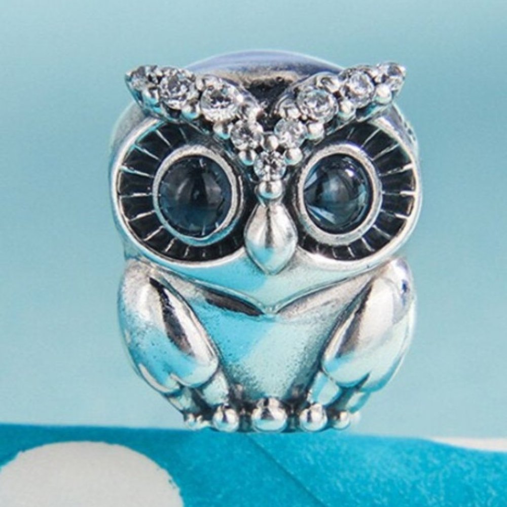 S925 Silver Sparkling Blue Eyed Owl Charm Bead